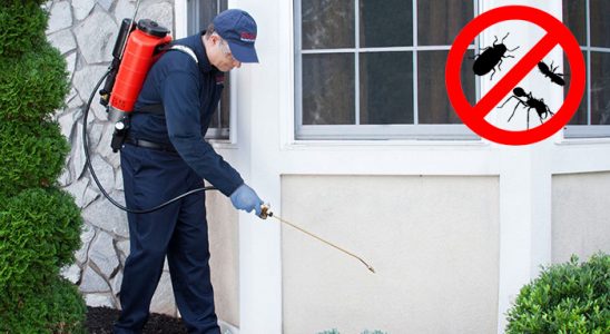 Kumluca Gümüşkurt İlaçlama böcek ilaçlama ve haşere kontrolü — ilaclama-tr.com